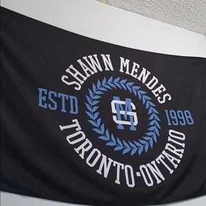 Shawn Mendes Tapestry